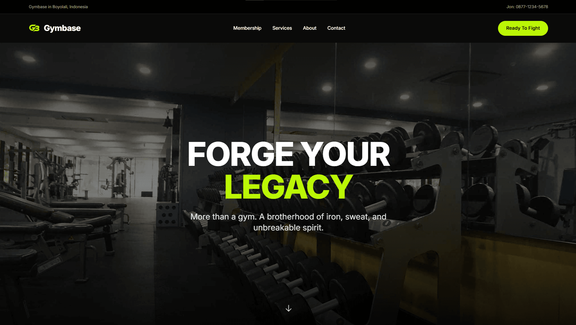 Gymbase - 5
